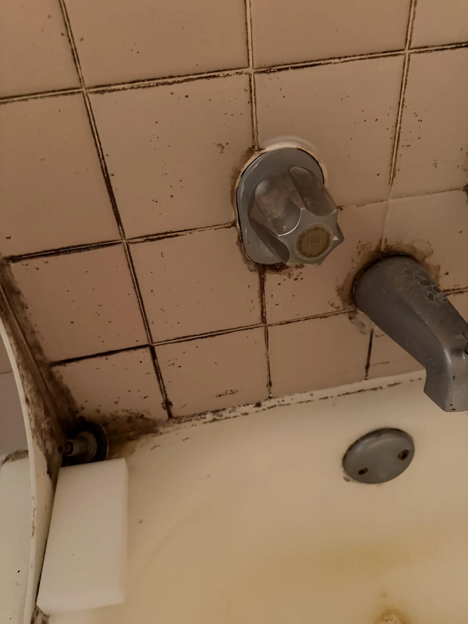 Client-provided before photo showing dark buildup around pink bathroom tile and fixtures