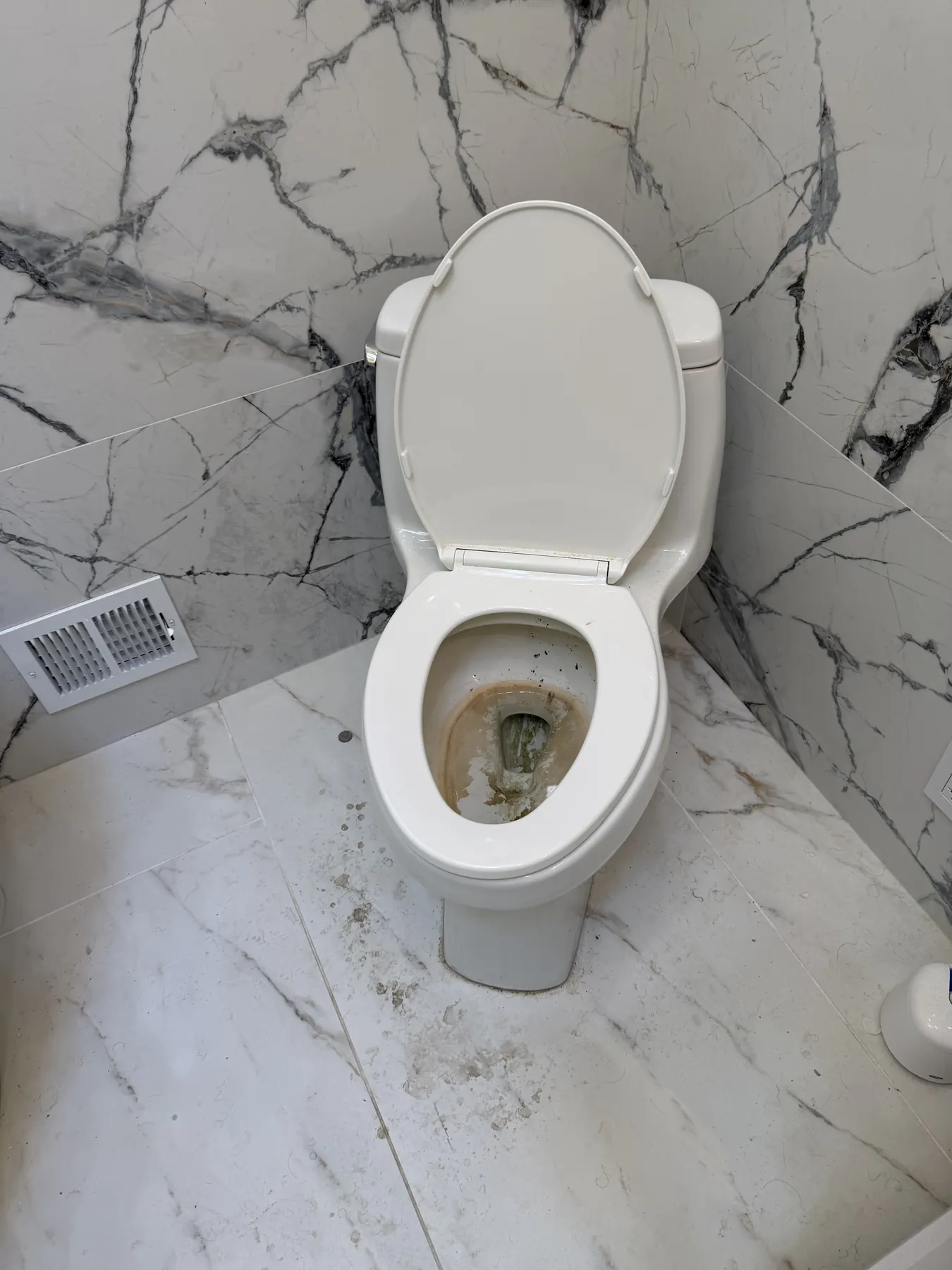 Client-provided before photo showing a toilet and surrounding floor with visible soil