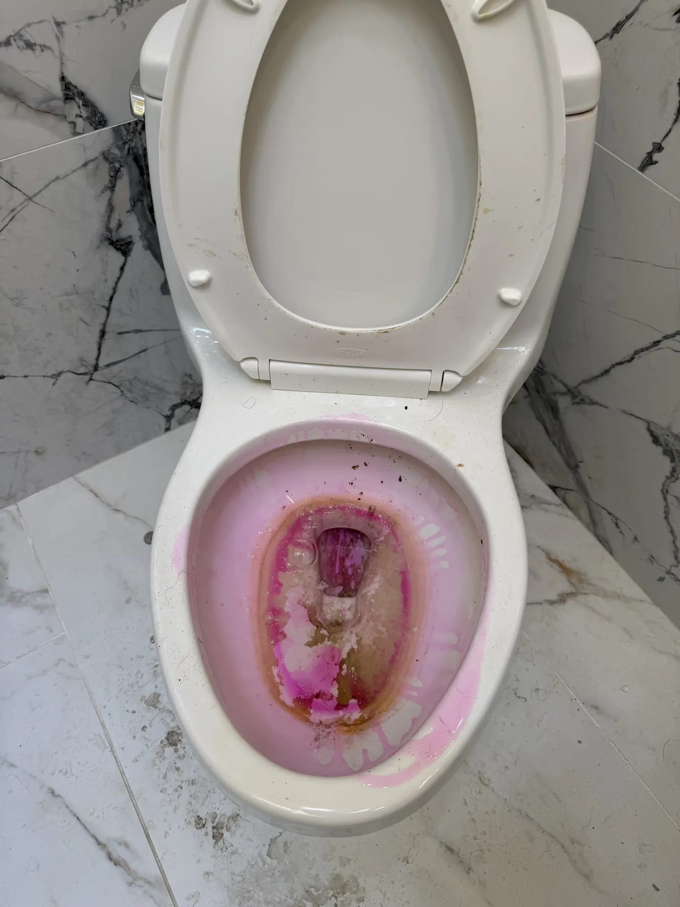 Client-provided in-progress photo showing cleaning solution inside the toilet bowl