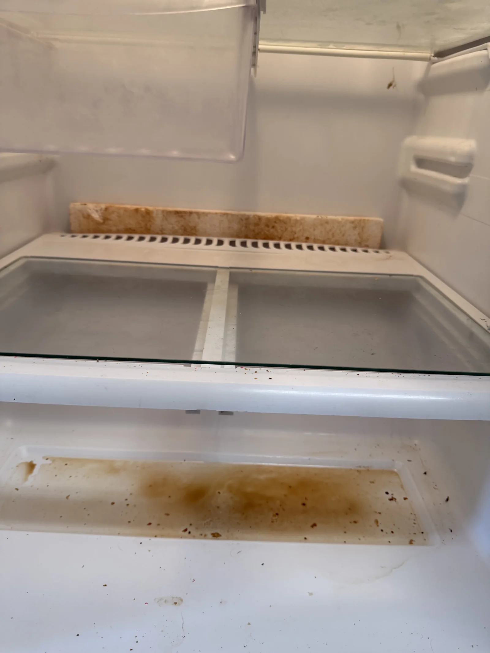 Client-provided before photo showing residue inside a refrigerator